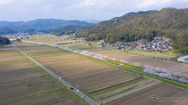 地域の足となる自動運転サービス、導入を技術面で支援　国交省が募集