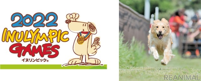 犬の運動会「イヌリンピック MINI」を同時開催