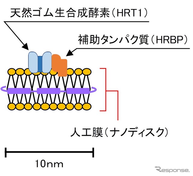 今回発明した新手法