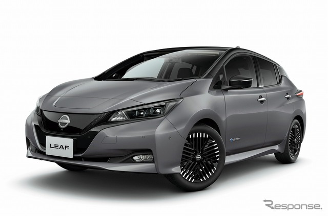 日産リーフ G(ステルスグレー/スーパーブラック 2トーン)