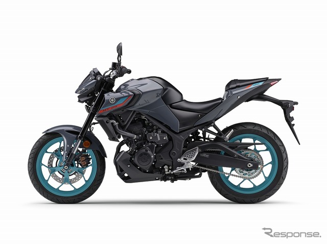 ヤマハ MT-25 ABS(パステルダークグレー)