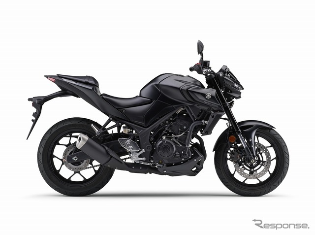 ヤマハ MT-25 ABS(マットダークグレーメタリック)