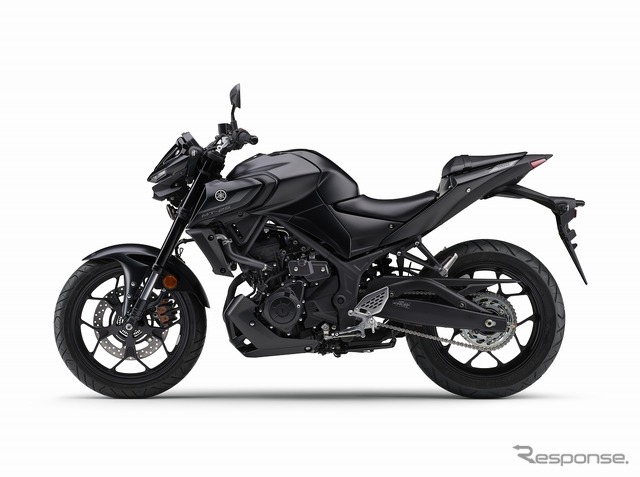 ヤマハ MT-25 ABS(マットダークグレーメタリック)