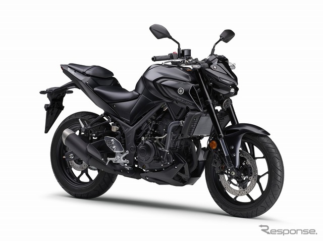 ヤマハ MT-25 ABS(マットダークグレーメタリック)