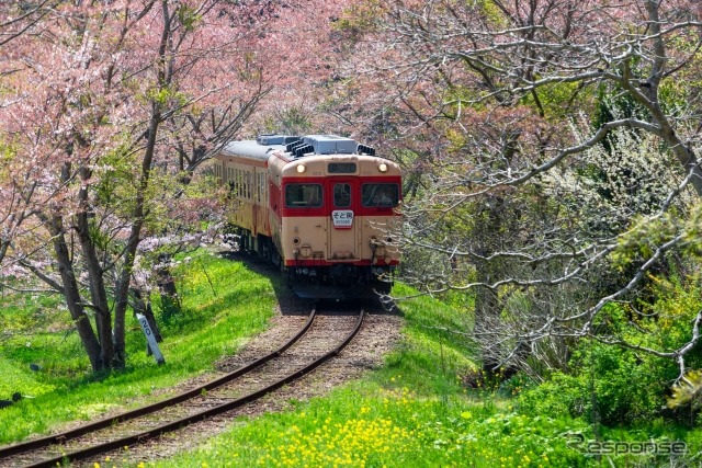 ヘッドマーク付き列車としてもしばしば運行されていたキハ28 2346。