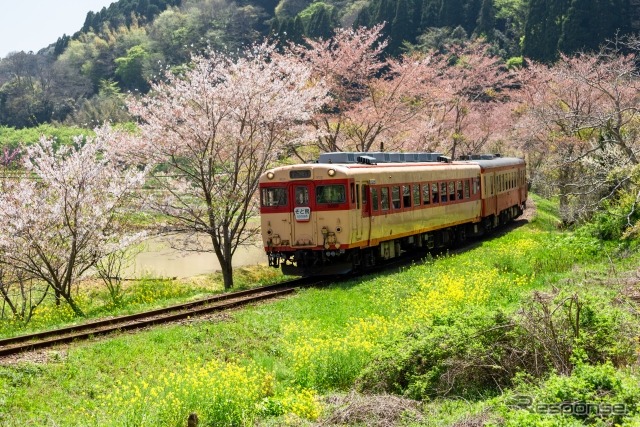 ヘッドマーク付き列車としてもしばしば運行されていたキハ28 2346。