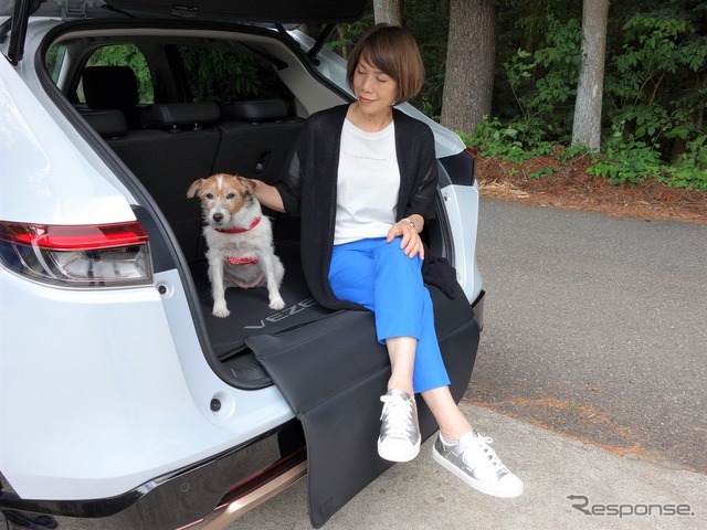 犬を車内のどこに乗せるか問題の結論