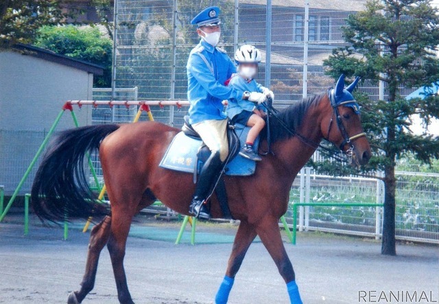 幼稚園や小学校を訪問し、交通ルールを守る大切さを理解してもらうための活動も行う