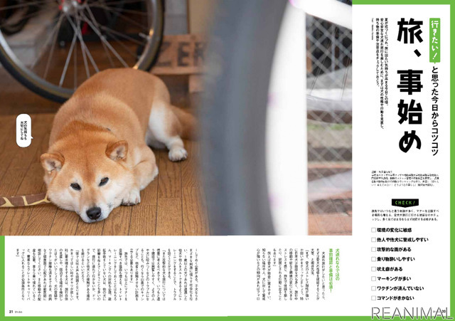 犬との旅のイロハを特集した、日本犬専門誌『Shi-Ba』最新号
