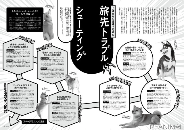 犬との旅のイロハを特集した、日本犬専門誌『Shi-Ba』最新号