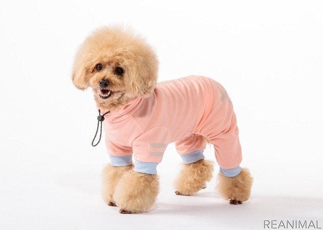 犬用ウェア「オールインワン SCORON素材使用」