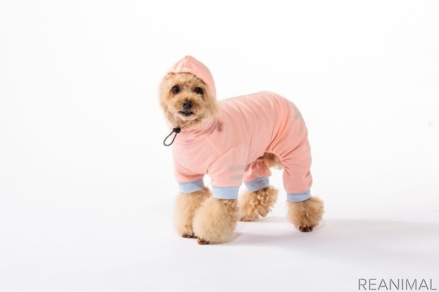犬用ウェア「オールインワン SCORON素材使用」