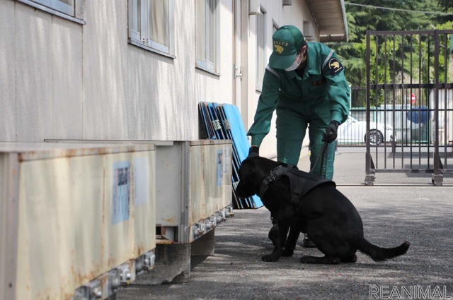 爆発物の捜索の訓練