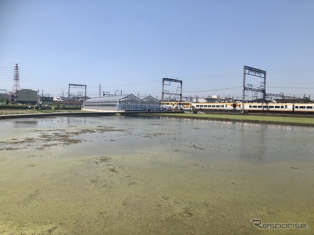 河内物語 服部農園