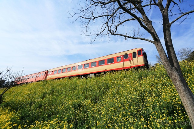 2023年2月初旬に引退する予定のキハ28 2346（後部はキハ52 125）。レストラン列車は11時18分に大多喜駅を出発。上総中野駅と大原駅で折り返し、13時52分に大多喜に戻るスケジュール。