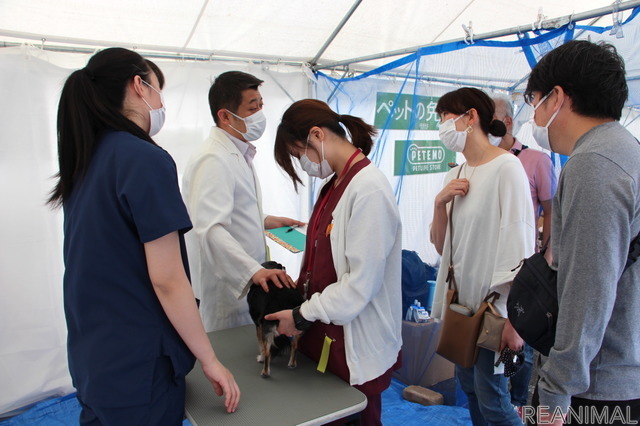 無料健康相談の様子