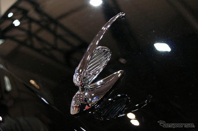 【東京オートサロン09】写真蔵…STYLEWAGON アルファード & ヴェルファイア