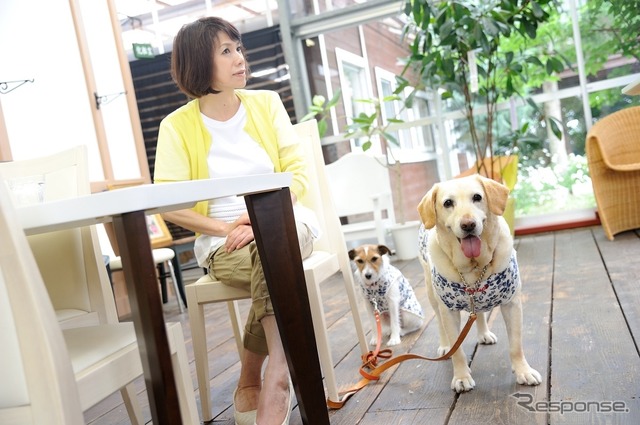 店内ペットOKのお店を選ぶ