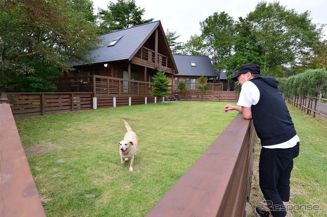 わが家の夏の愛犬連れドライブ8か条