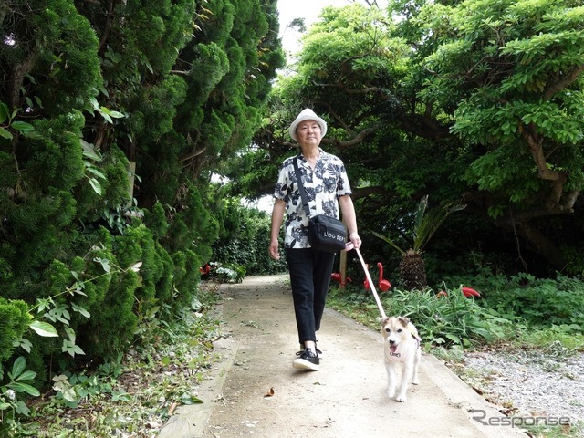 わが家の夏の愛犬連れドライブ8か条