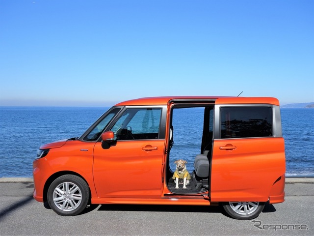 わが家の夏の愛犬連れドライブ8か条