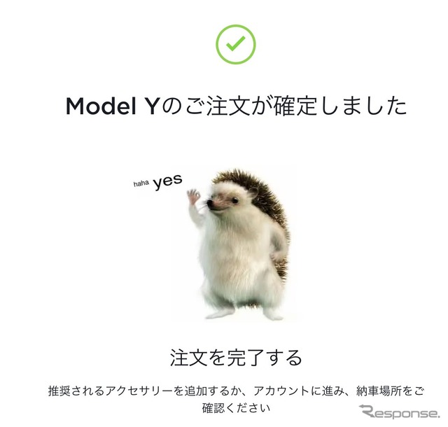 テスラ モデルYの注文が確定した瞬間。ハリネズミが可愛い。(スクリーンショット)