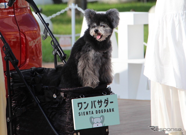 「SIENTA DOG PARK(シエンタドッグパーク)」オープニングセレモニー