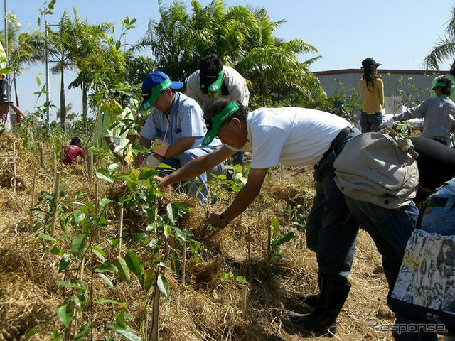 横浜ゴム、タイで植樹祭を実施