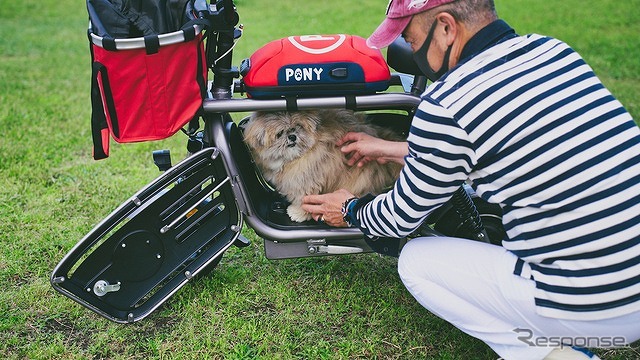 The Dog Bike PONY
