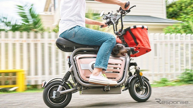 The Dog Bike PONY