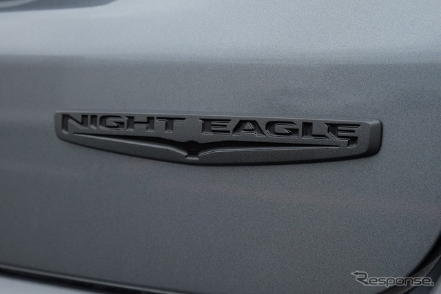Night Eagleバッジ