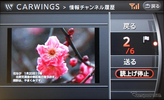 日産、ETC割引と京都の花情報をカーナビで提供