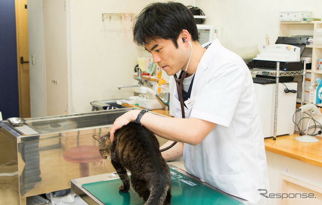 ライト動物病院の小林良輔院長