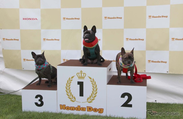 Honda Dog(ホンダアクセス)ブース/アウトドアドッグフェスタin八ヶ岳 2022