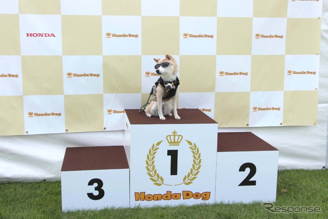 Honda Dog(ホンダアクセス)ブース/アウトドアドッグフェスタin八ヶ岳 2022