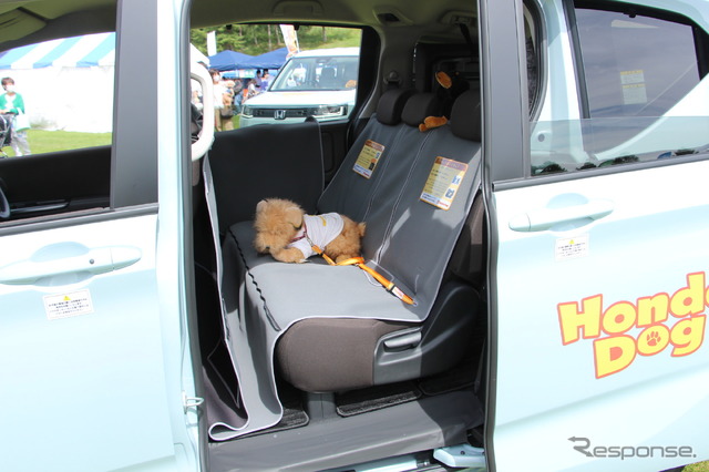 Honda Dog(ホンダアクセス)ブース/アウトドアドッグフェスタin八ヶ岳 2022