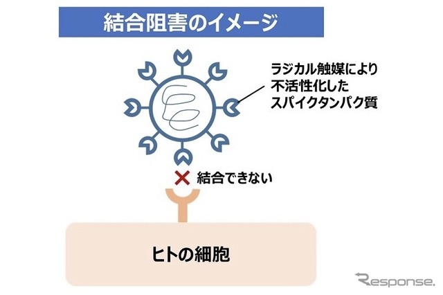 ウイルス不活化技術：結合阻害のイメージ