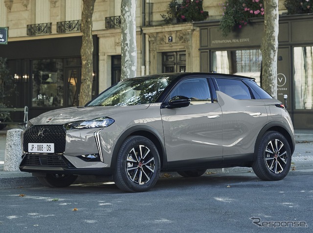 DS 3 改良新型