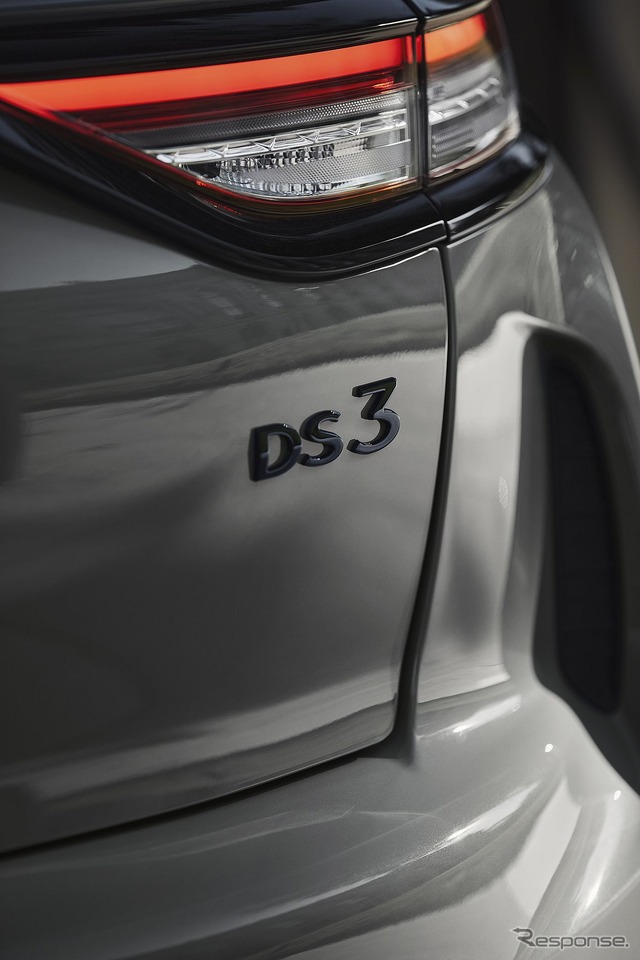 DS 3 改良新型