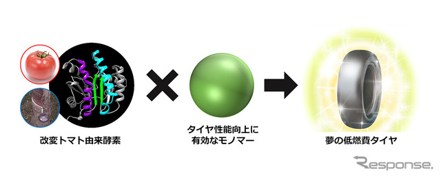 夢の低燃費タイヤの開発につながるバイオポリマーの合成に成功