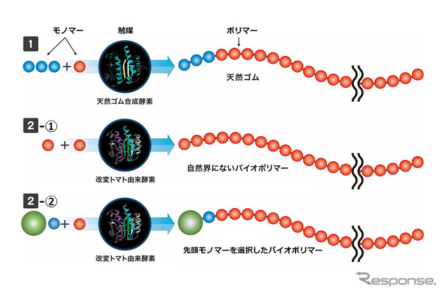 酵素を触媒として用いた合成反応イメージ