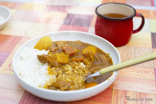 カレーライス(イメージ)