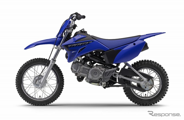 ヤマハ TT-R110E
