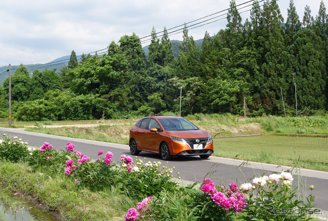 奥飛騨路は街道沿いにしゃくなげの花が咲く。