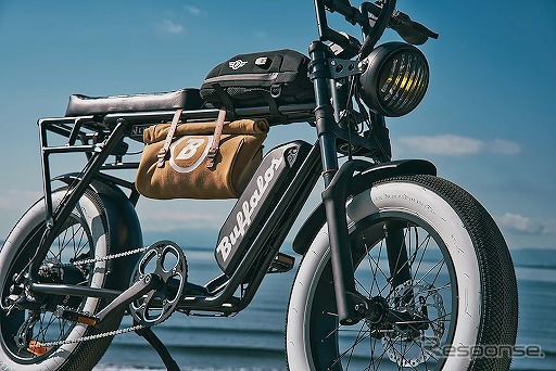 電動アシスト自転車 バッファローズ