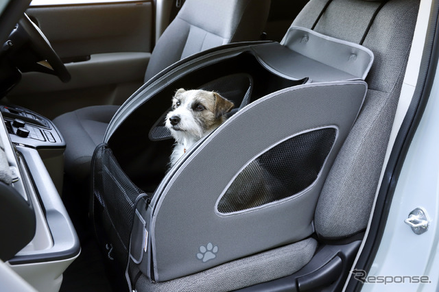 超小型犬&小型犬には、助手席に設置できるソフトケージ「ペットシートプラスわん2」がおすすめ。ジャックラッセルのナッツは体高35cm×体長45cm、体重5.8kg