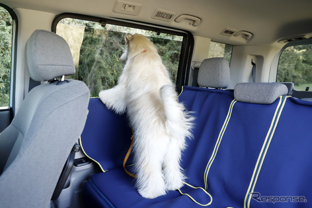 「ペットドアライニングカバー」は、愛犬がドアの内側に足をかけた時、傷が付いたり滑ったりするのを防いでくれる（※撮影のため前席側のペットシートマットの紐を外しています）