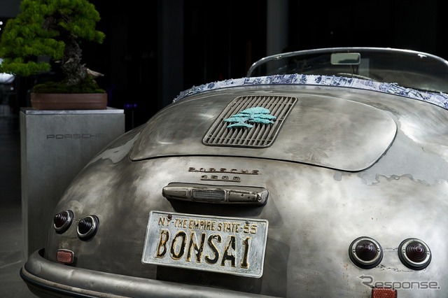 Bonsai 356