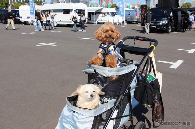 会場では愛犬を連れた人の姿も多く見られた