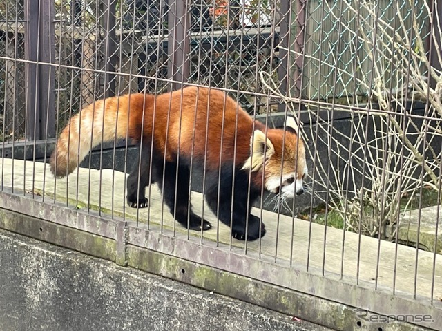 東北サファリパーク